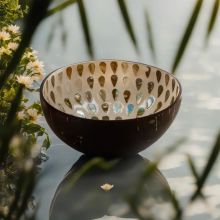 Pearlescent Drizzle Coconut Bowl