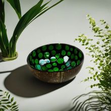 Earthly Green Coconut Bowl
