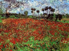 Field of Poppies - 48