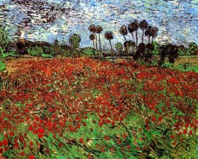 Field of Poppies - 48