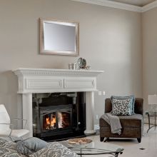 Elegant Champagne Framed Mirror