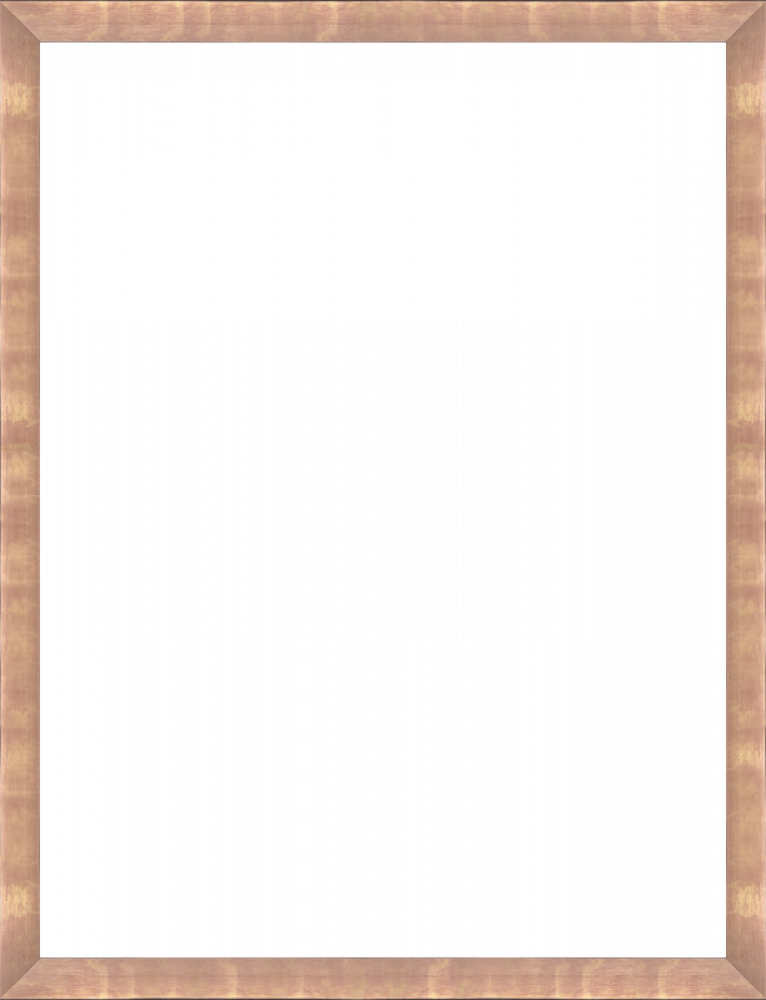 Blushing Rose Gold Frame 30" X 40"