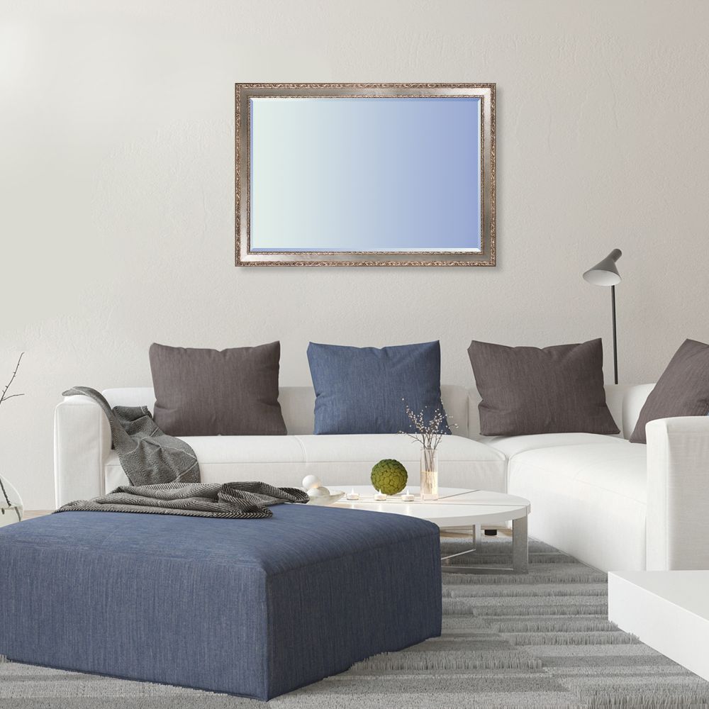 Versailles Silver Salon Framed Mirror