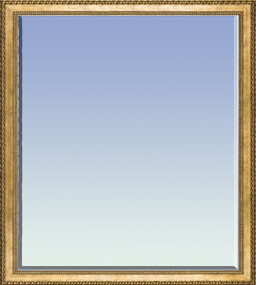 Verona Gold Braid Framed Mirror