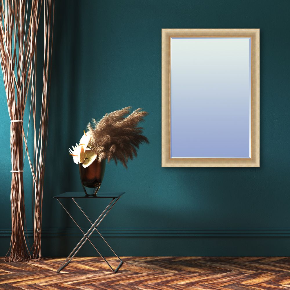 Andover Champagne Framed Mirror