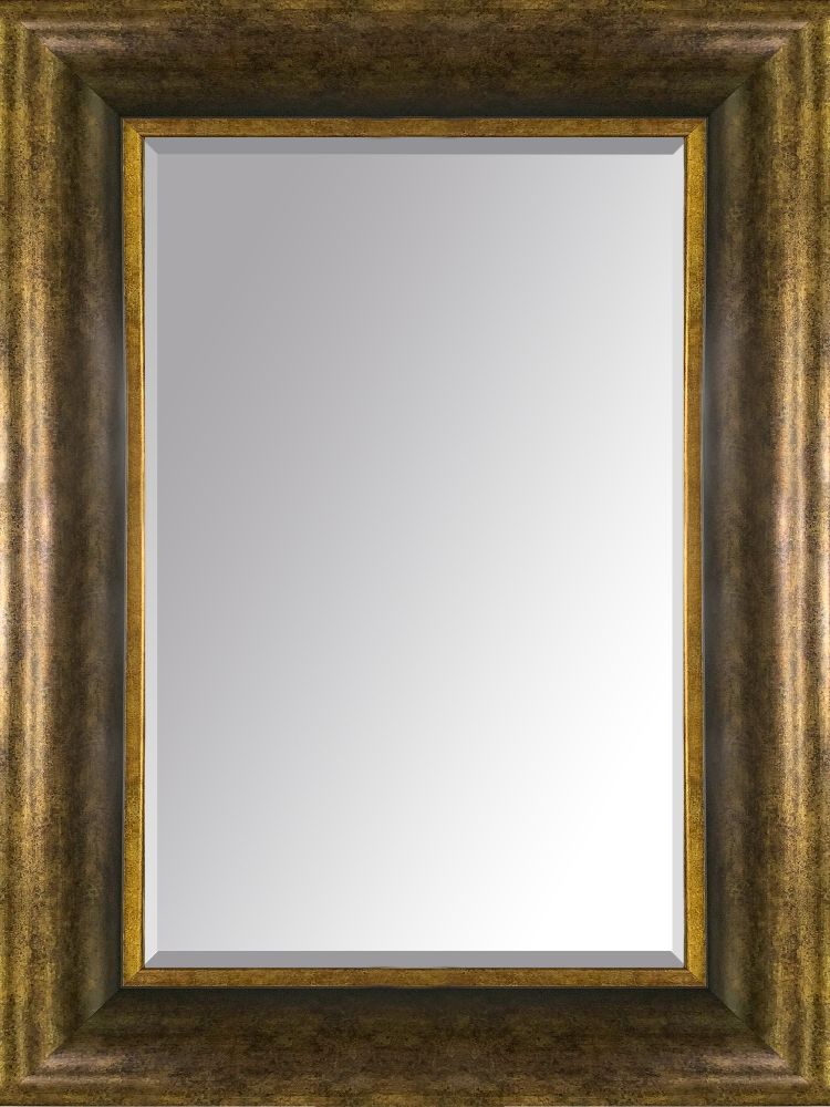 Alicen Bronze Framed Mirror
