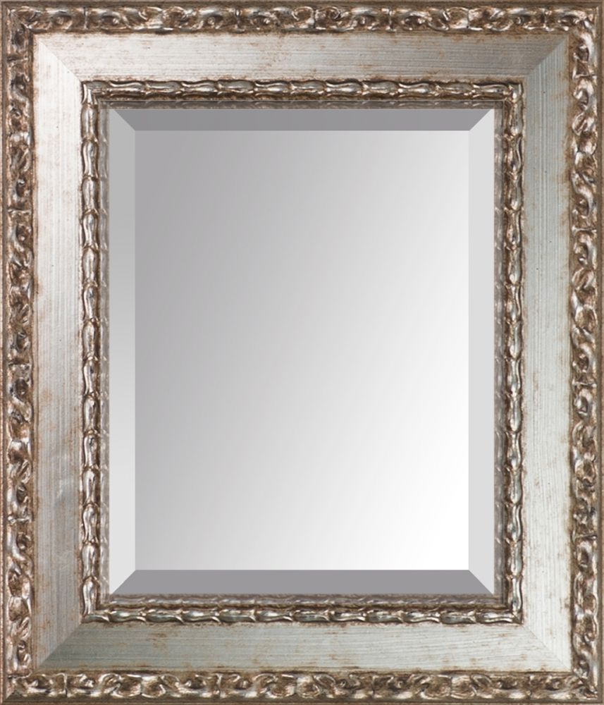 Versailles Silver Salon Framed Mirror