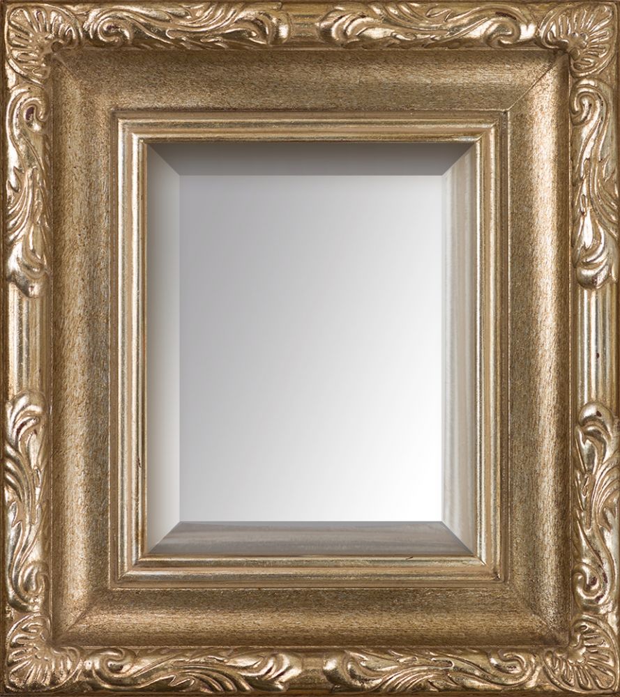 Florentine Dark Champagne Framed Mirror