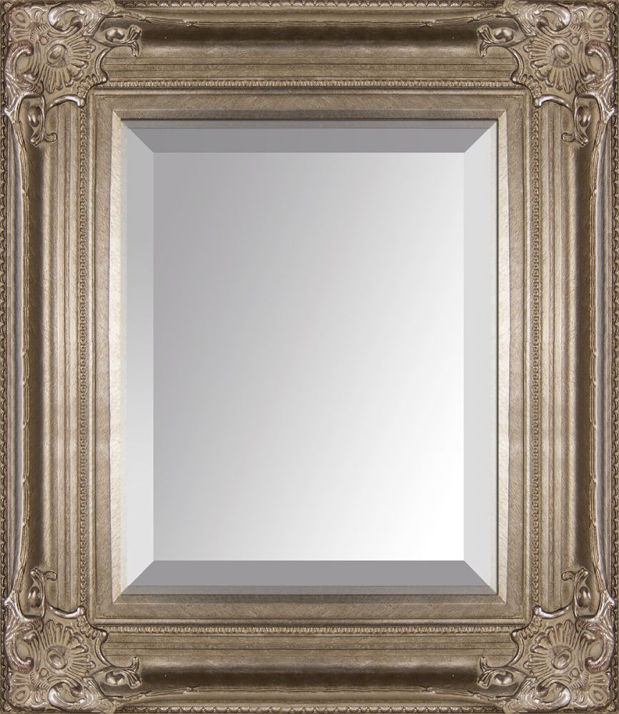 Renaissance Champagne Framed Mirror
