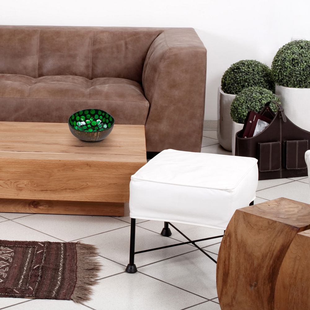 Earthly Green Coconut Bowl