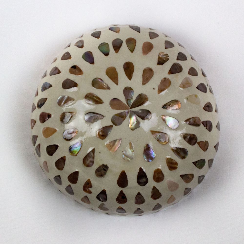 Pearlescent Rain Coconut Bowl