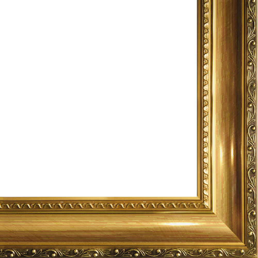 Verona Gold Braid Frame 24"X36"