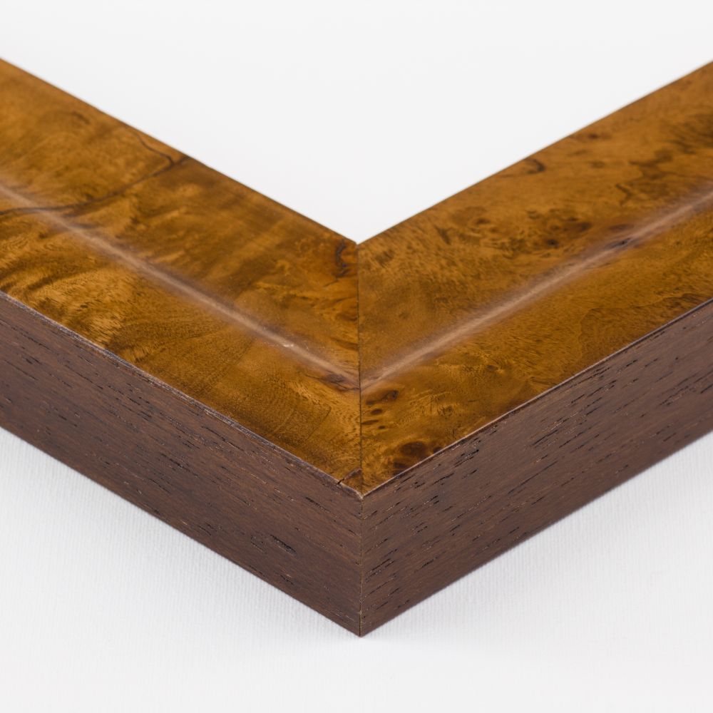 Havana Burl Frame 20" X 24"