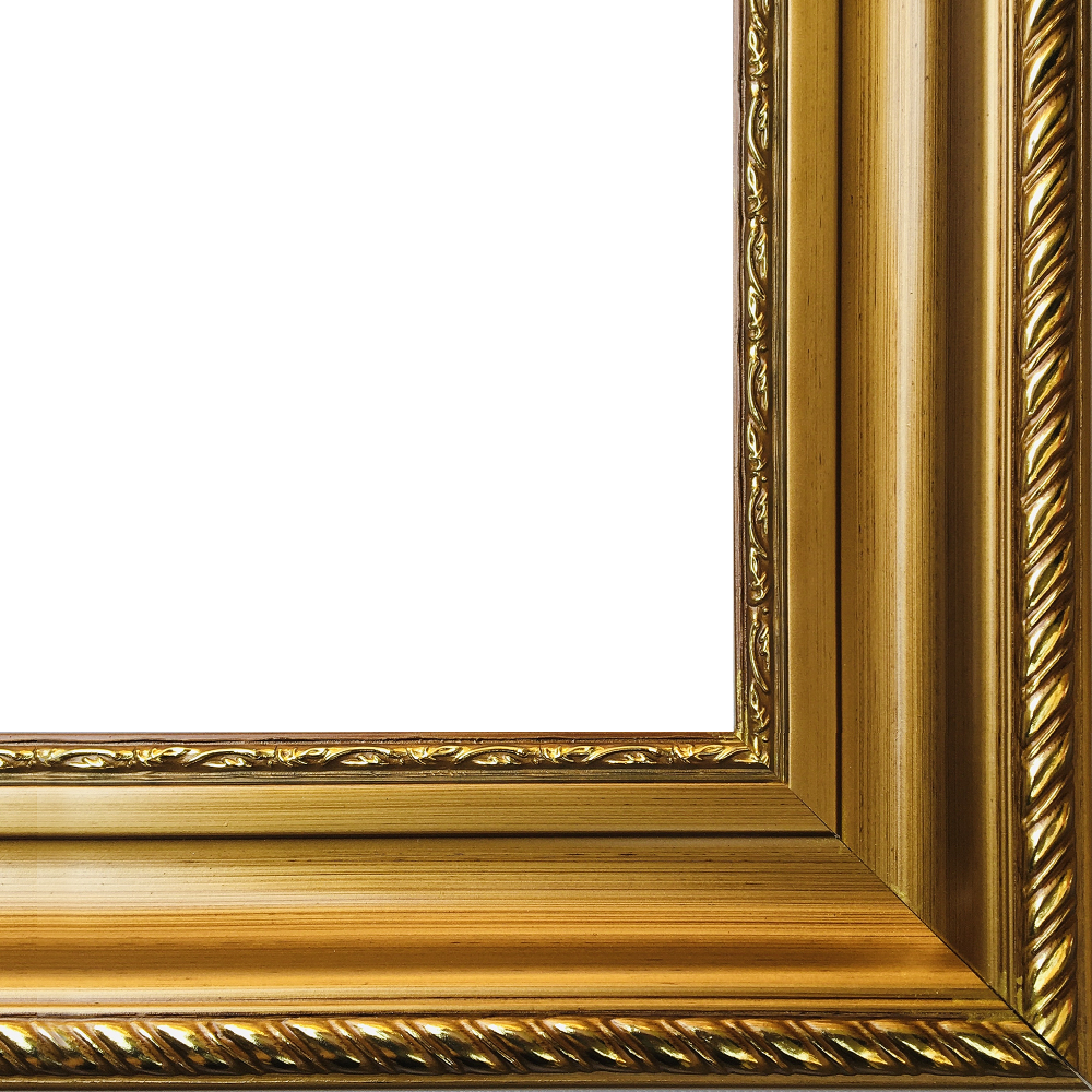 Regency Gold Frame 24"X36"