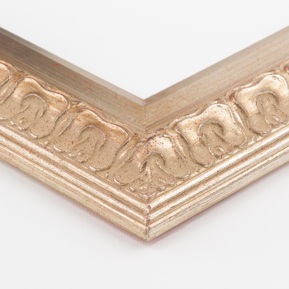 Elegant Champagne Frame 20"X24"