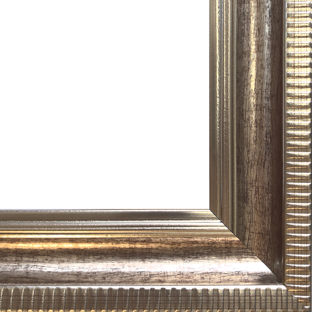 Verona Champagne Braid Frame 24