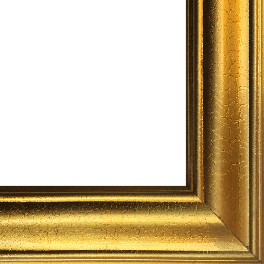 Gold Luminoso Frame 24" x 36"