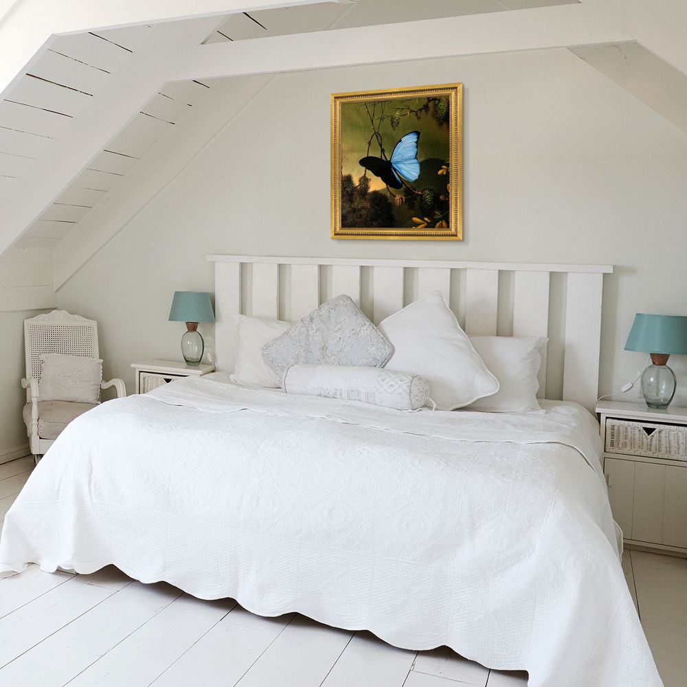 Blue Morpho Butterfly