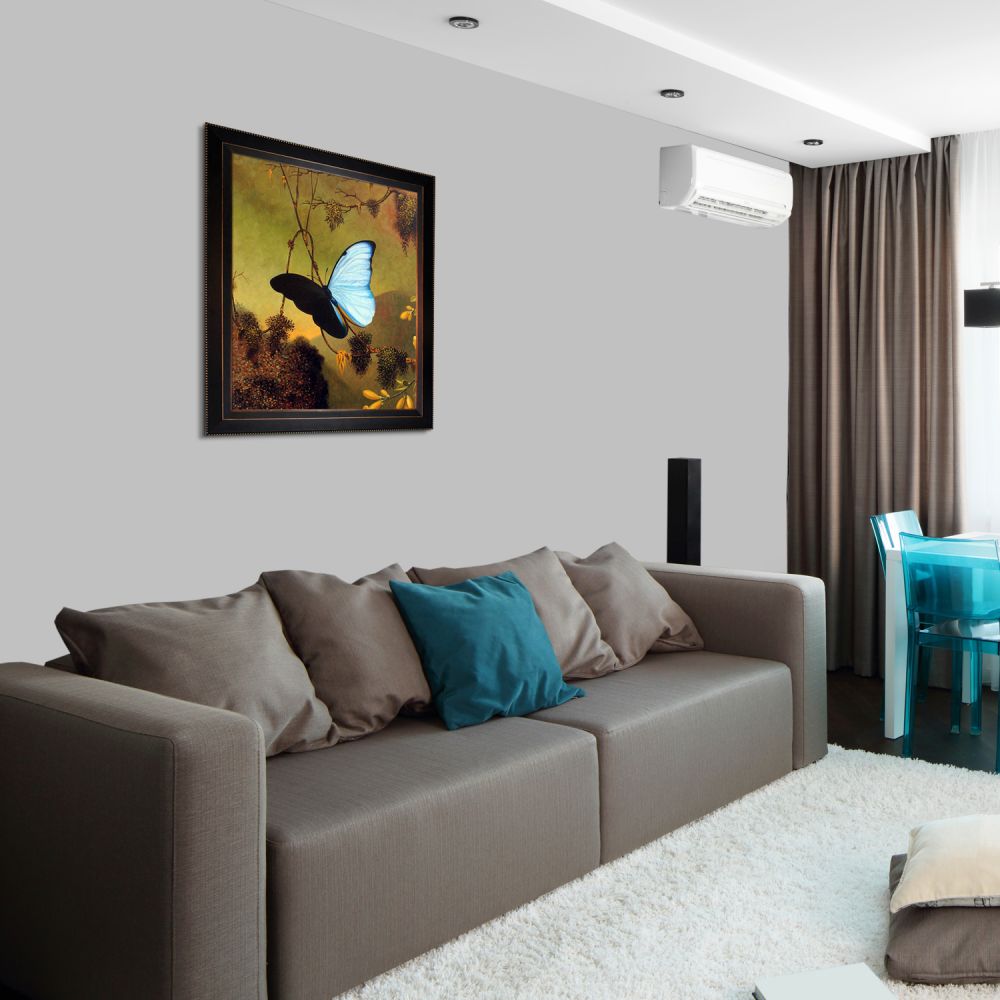 Blue Morpho Butterfly