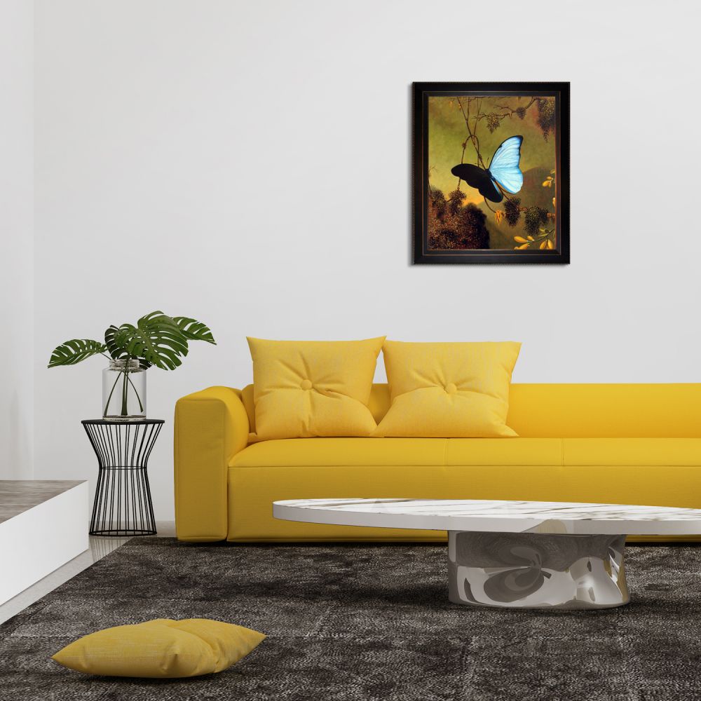 Blue Morpho Butterfly