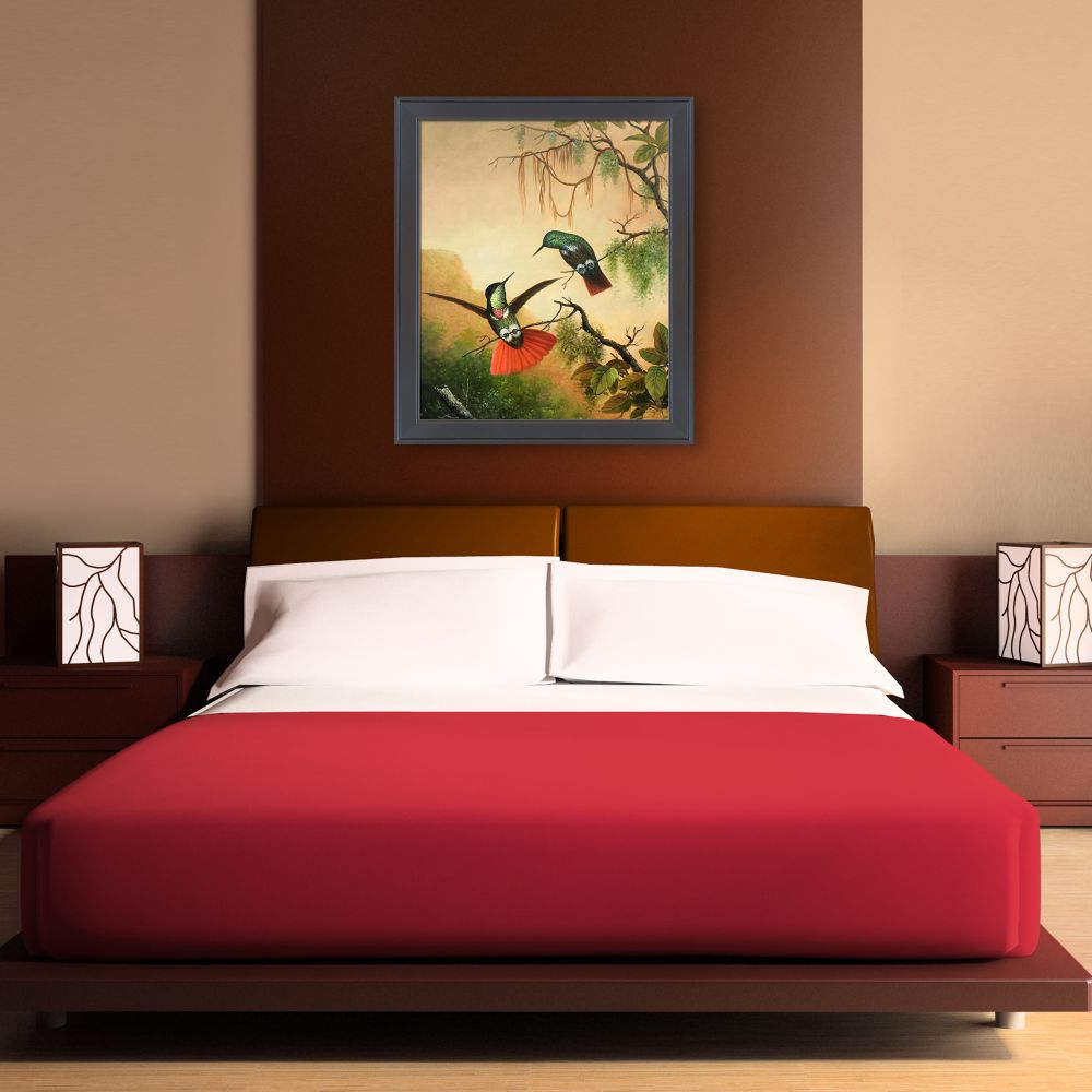 Two Hooded Visorbearer Hummingbirds