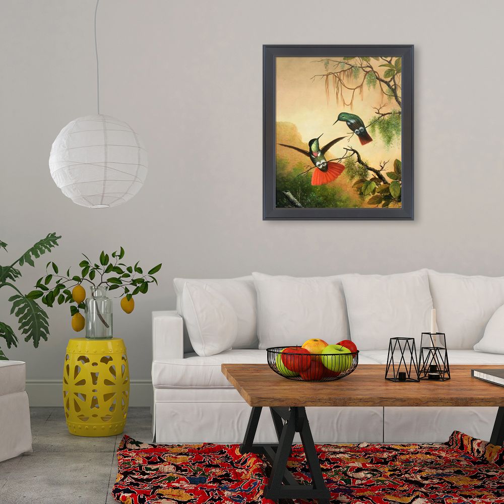 Two Hooded Visorbearer Hummingbirds