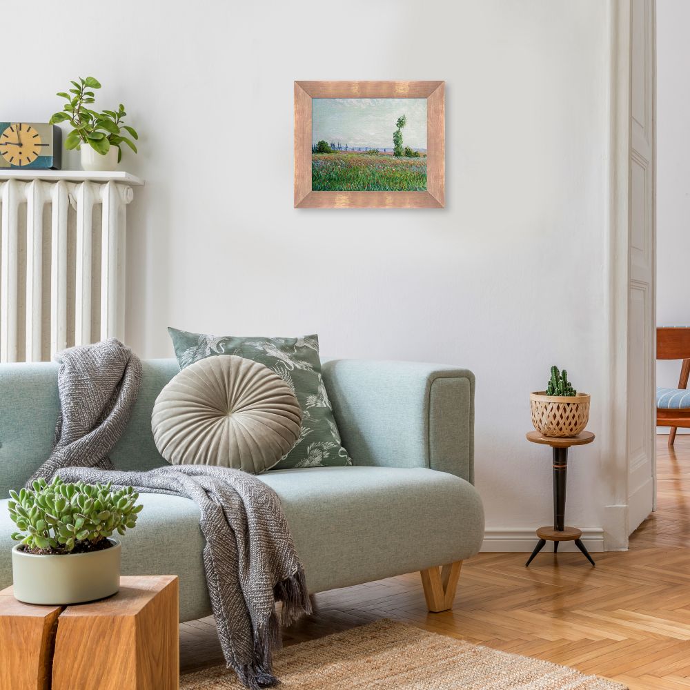 The Fields of Poppies