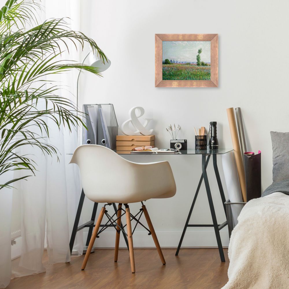 The Fields of Poppies