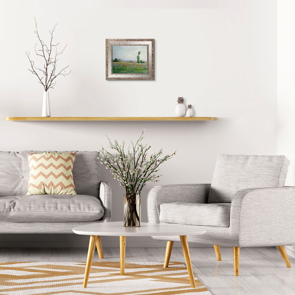 The Fields of Poppies