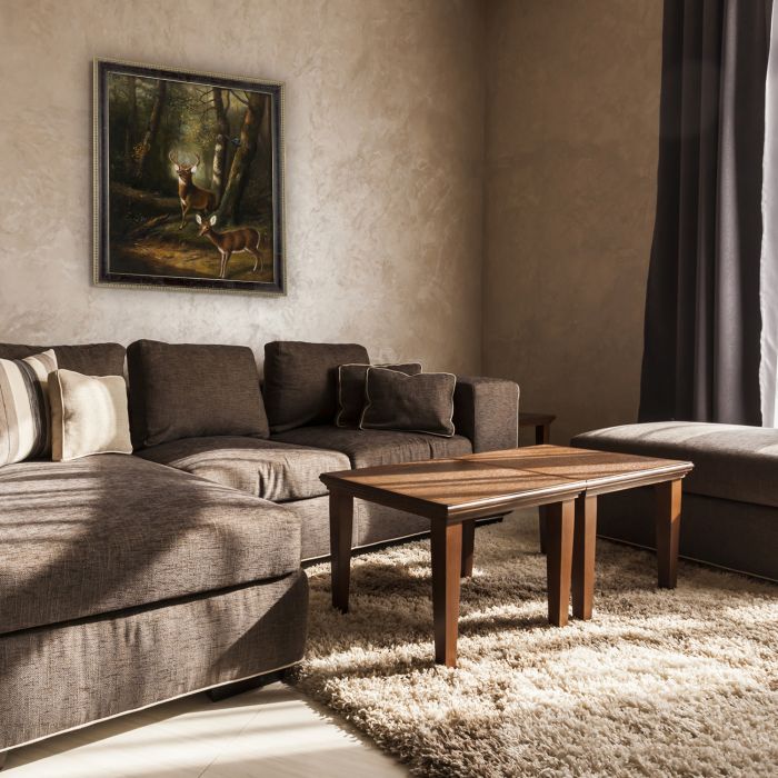 The Forest - Adirondacks Pre-Framed - Hermitage Cabernet Scooped Frame 20X24