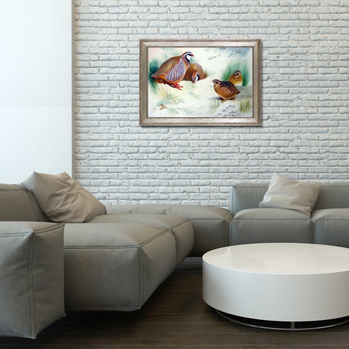 French Partridge and Chicks, 1915 Pre-Framed - Versailles Silver King Frame 24" X 36"