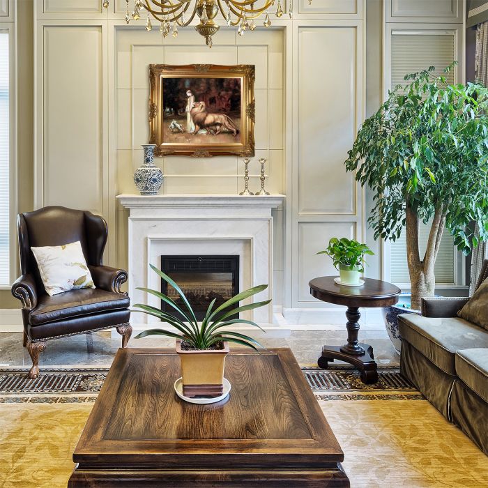 Una and the Lion Pre-Framed - Victorian Gold Frame 20"X24"