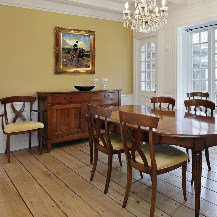 The Amazon with Puppy Pre-Framed - Victorian Gold Frame 20"X24"