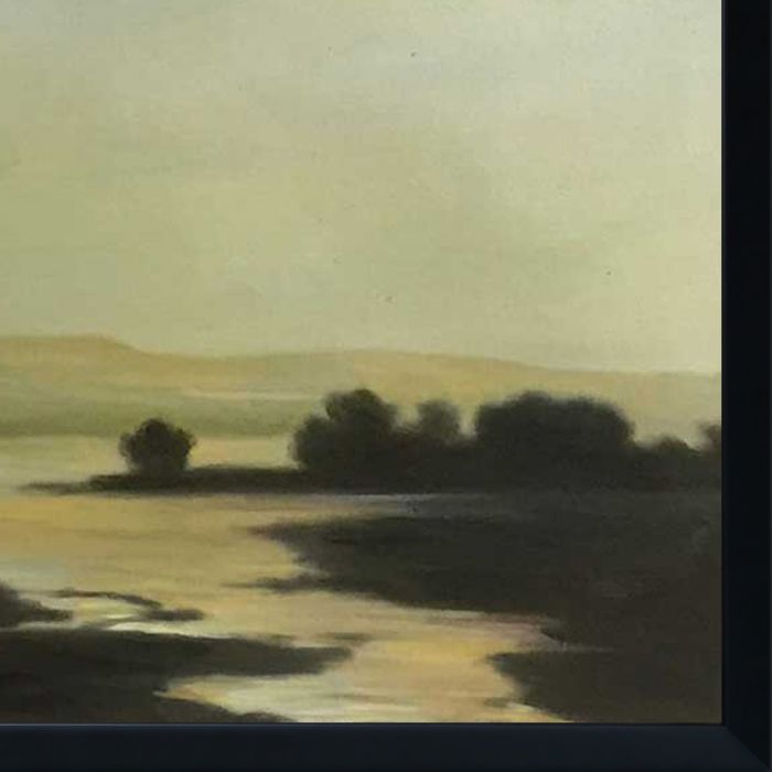 Grand Comet of 1882 Pre-framed - Studio Black Wood Frame 20"X24"