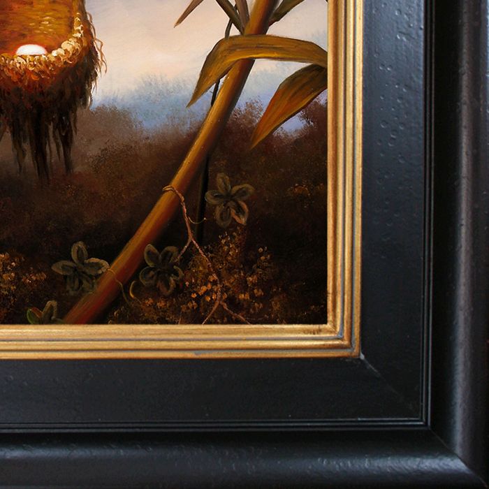 Black-Breasted Plovercrest Pre-Framed - Vintage Creed Frame 20"X24"