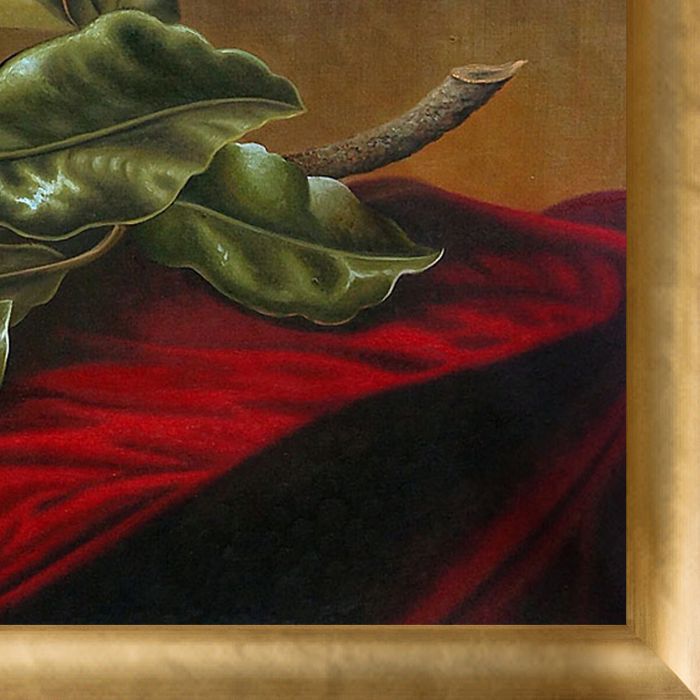 Magnolia Grandiflora, 1895 Pre-Framed - Gold Luminoso Frame 24" x 36"