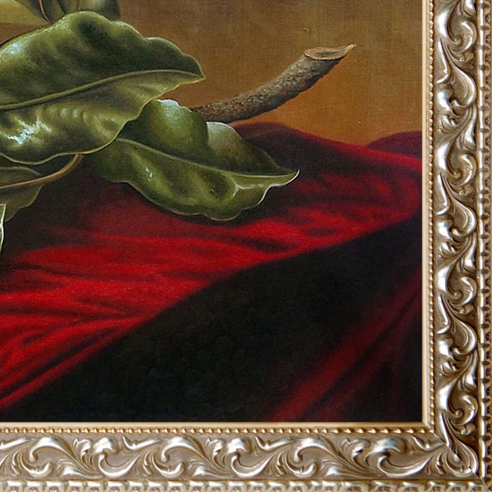 Magnolia Grandiflora, 1895 Pre-Framed - Rococo Silver 24"X36"