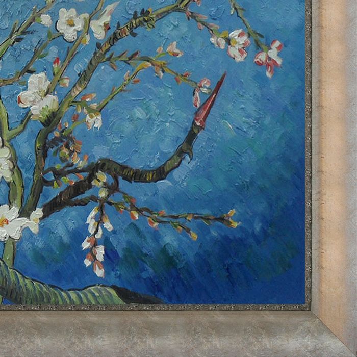 Branches of an Almond Tree in Blossom Pre-Framed - Champage Scoop with Swirl Lip Frame 36"X48"