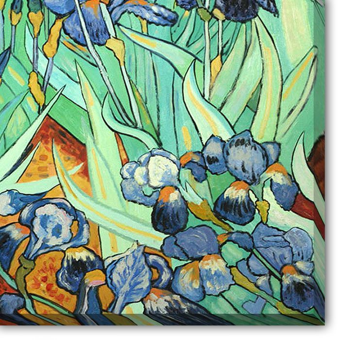 Irises Pre-Framed - Gallery Wrap 36"X48"