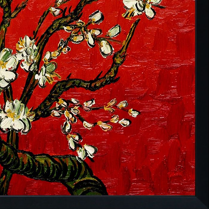 Branches of an Almond Tree in Blossom, Ruby Red Pre-Framed - Studio Black Wood Frame 24"X24"