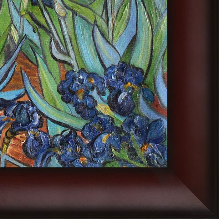 Irises Pre-Framed - Oxblood Scoop 16