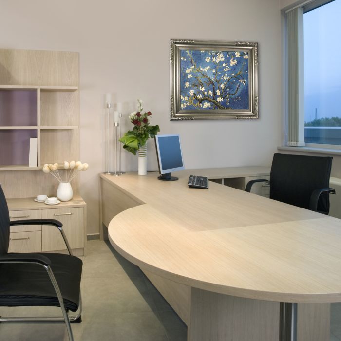 Branches of an Almond Tree in Blossom Pre-Framed - Florentine Dark Champagne Frame 20"X24"