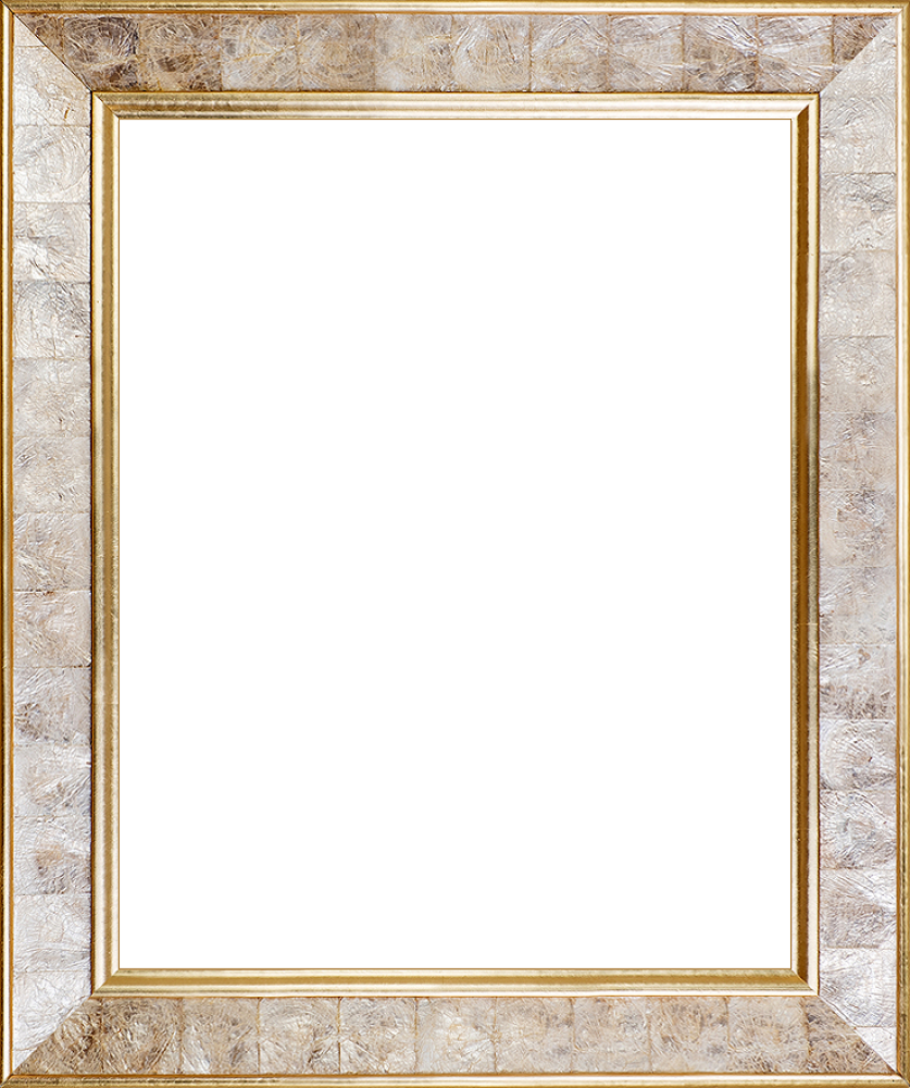 Gold Pearl Frame 16" X 20"