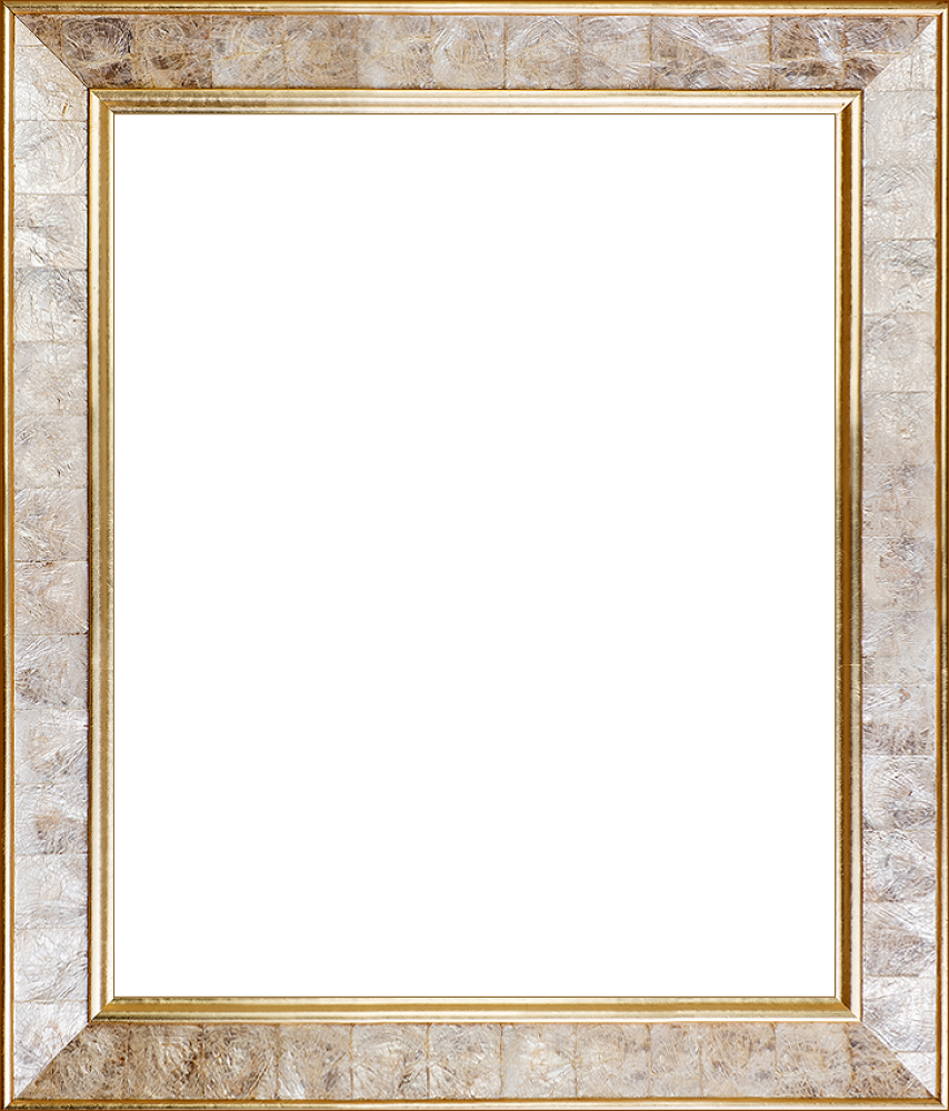 Gold Pearl Frame 20" X 24"