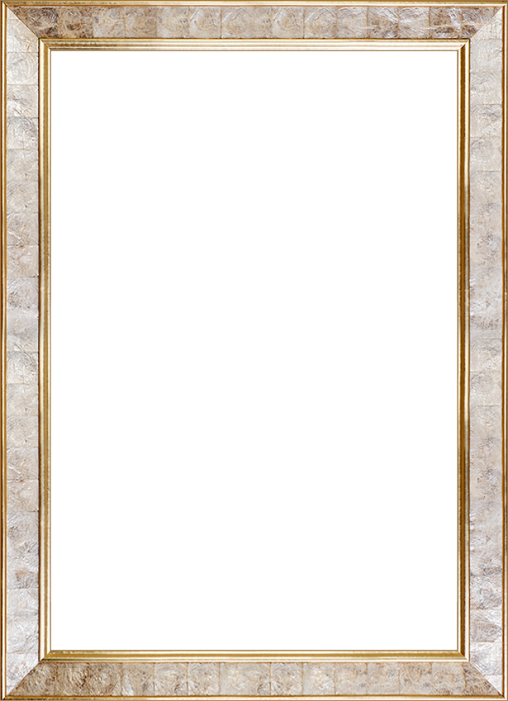 Gold Pearl Frame 24" X 36"