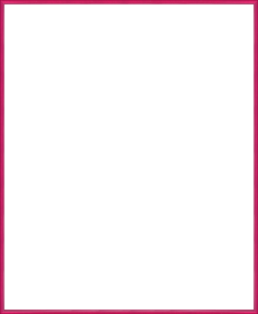 Studio Raspberry Metal Frame 20