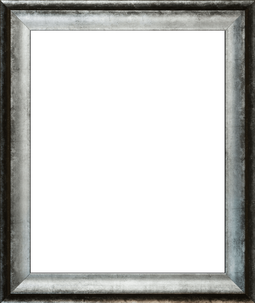 Athenian Distressed Silver Frame 16" X 20"