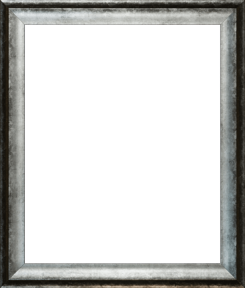 Athenian Distressed Silver Frame 20"X24"