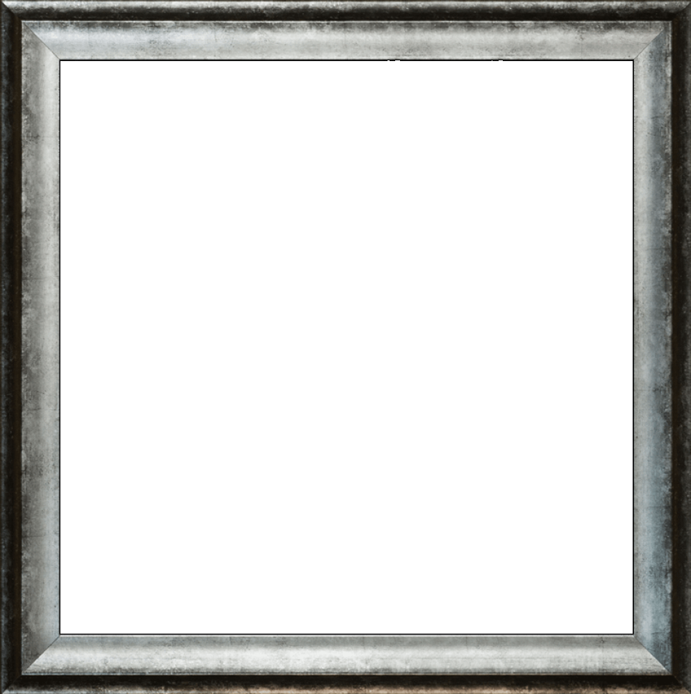 Athenian Distressed Silver Frame 24"X24"