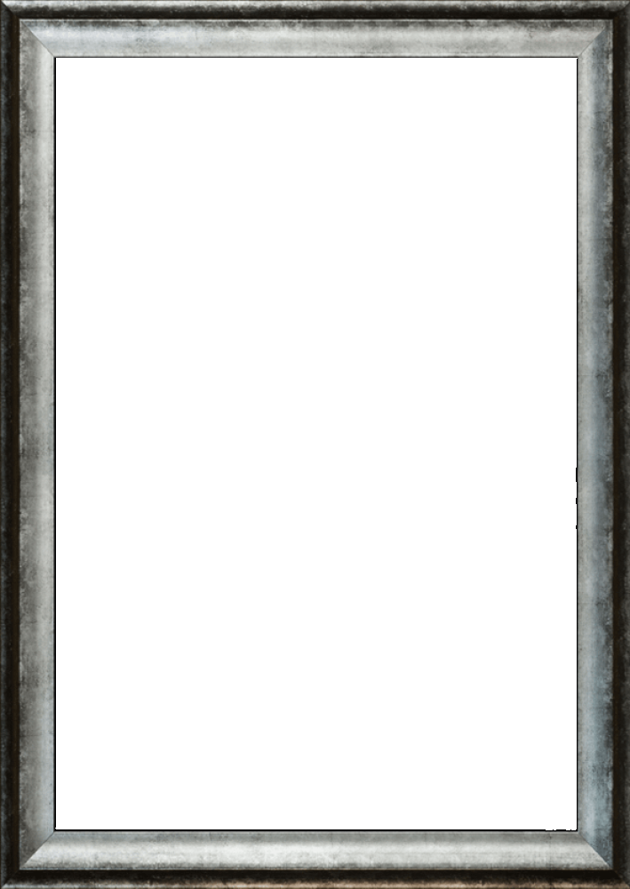 Athenian Distressed Silver Frame 24"X36"
